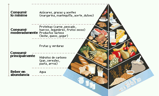 piramide-alimentacion
